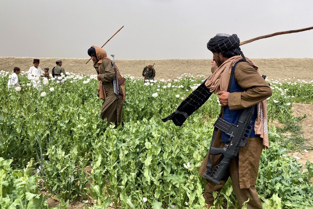 Sanaullah Seiam / AFP-تجارت مواد مخدر از زمان آغاز فعالیت طالبان در نیمه دوم دهه 90 میلادی تا اینک بخش جدا ناشدنی از بدنه طالبان شمرده می‌شود